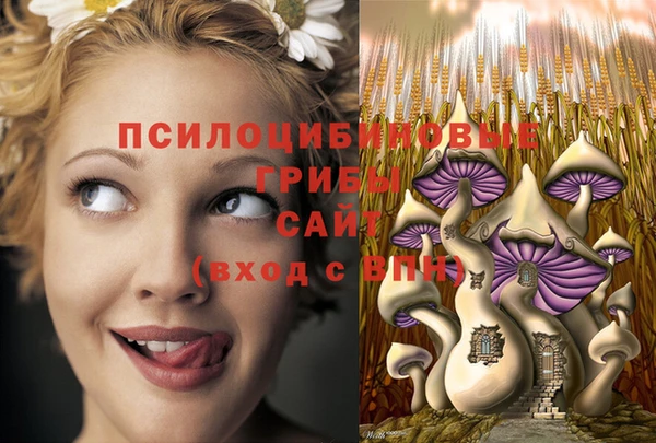 экстази Армянск