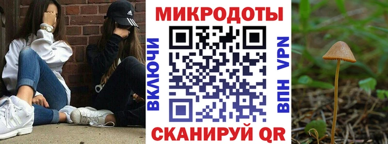Галлюциногенные грибы MAGIC MUSHROOMS  Приозерск 